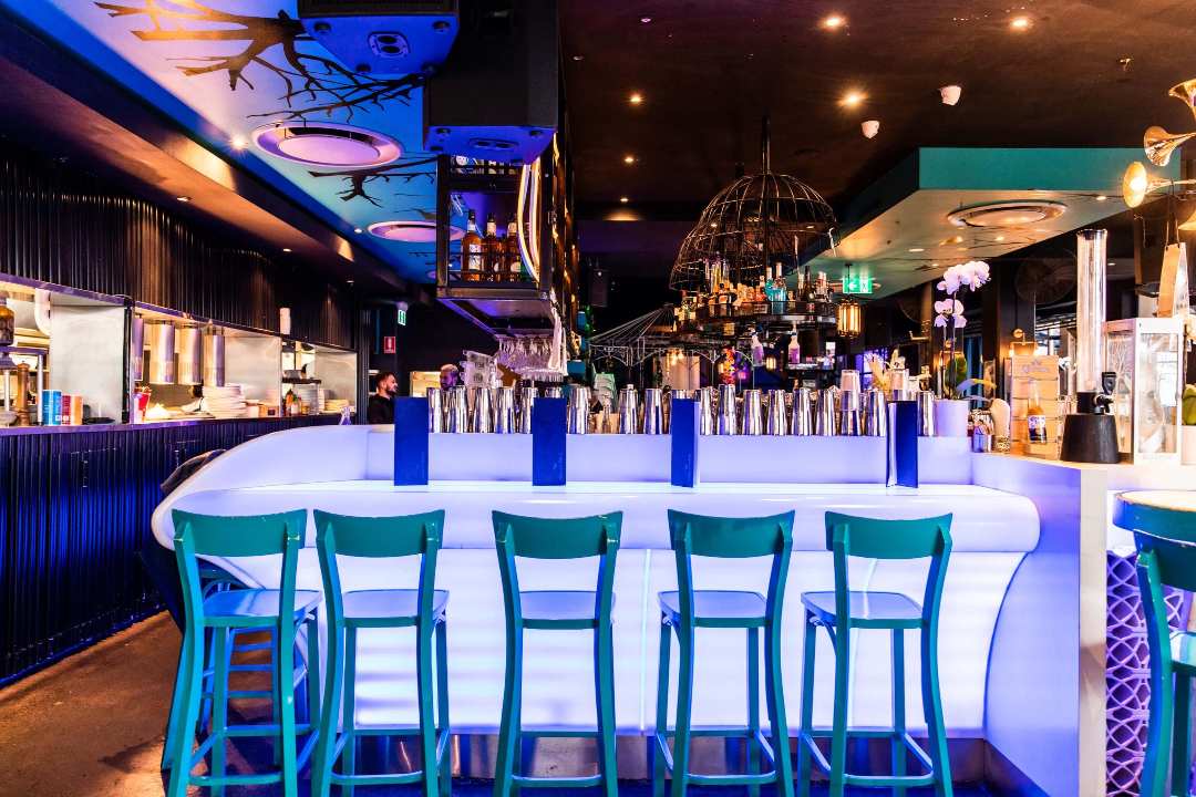 01 blackbird bar